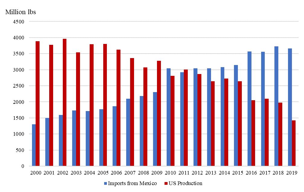 Fresh market tomatoes: US production versus imports from Mexico, 2000–2019.