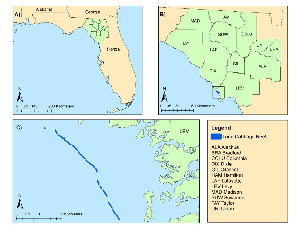 Location of the LCR restoration project and the 12-county region used in analysis, where A) shows the 12-county region in the relation to the state of Florida, B) shows each county included in the analysis and the relative location of the LCR complex, and C) shows a closer look at the LCR in relation to Levy County’s coastline.