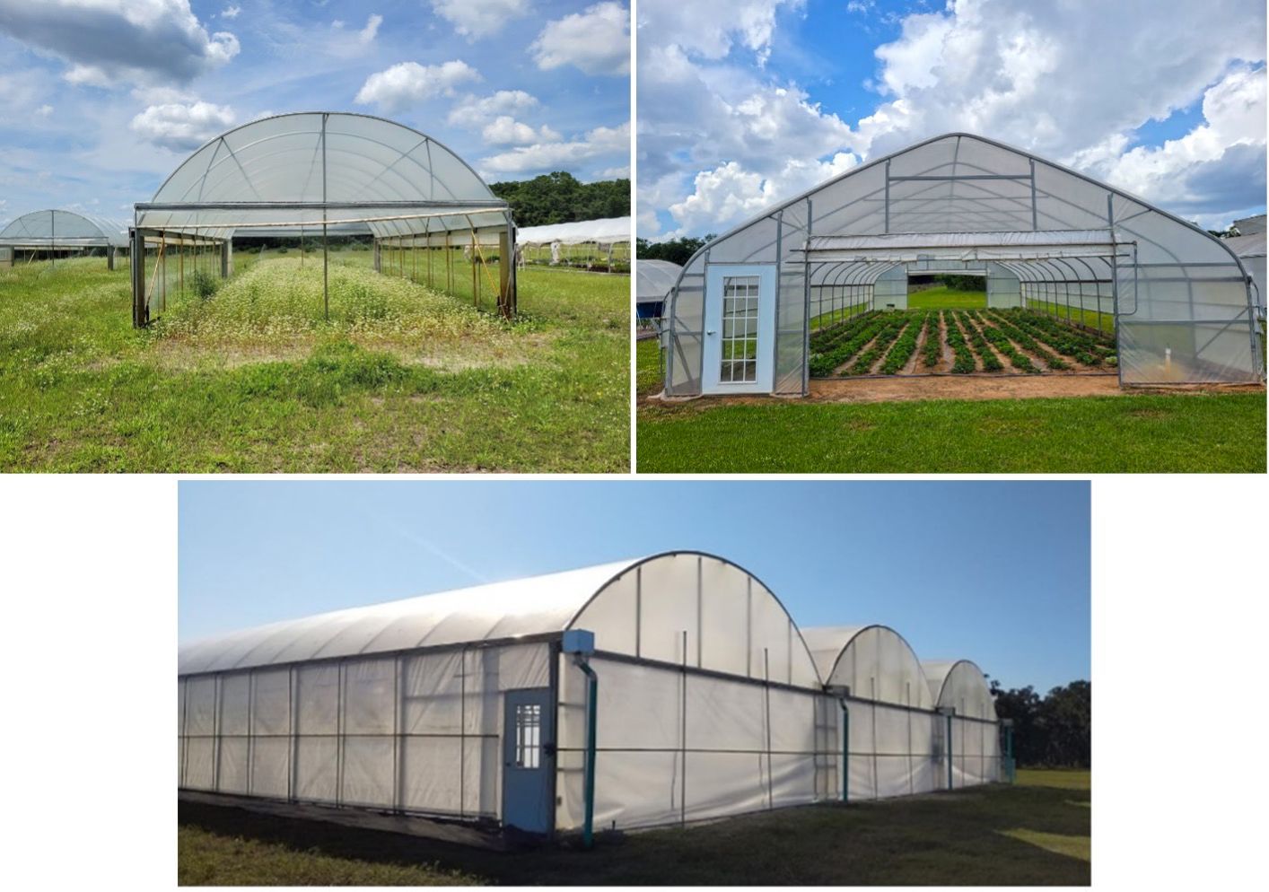 Various styles of high tunnels. Clockwise from the top left: Quonset style, Gothic style, and multi-bay high tunnels. 