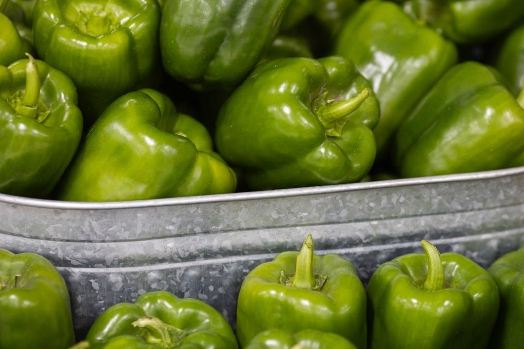 A group of green peppers in a metal container

Description automatically generated
