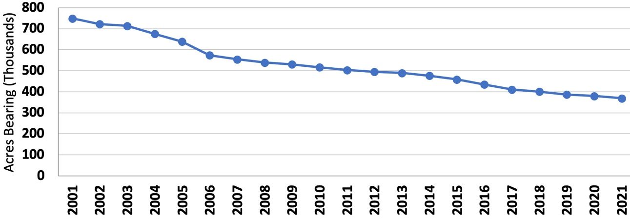 The trend in Florida citrus-bearing acreage, 2001–21.