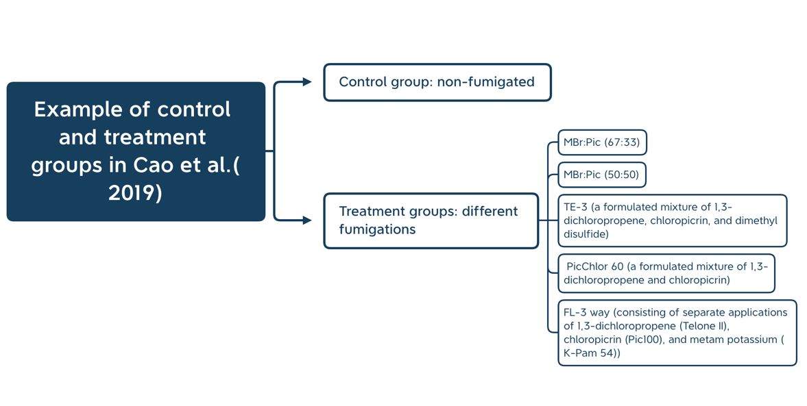 Example of control and treatment groups adapted from Cao et al. (2019). The control group is non-fumigated; the treatment group involves different fumigation methods. 