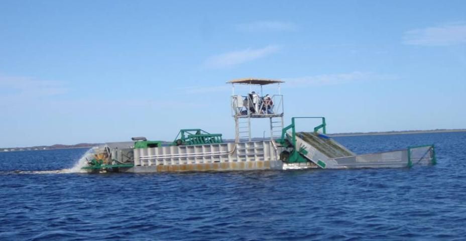 Hydrilla mechanical harvesting boat.