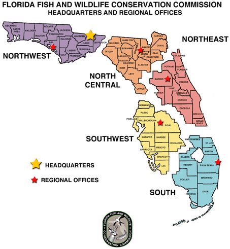 FFWCC regions.