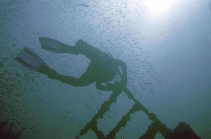 Diver on a Florida artificial reef.