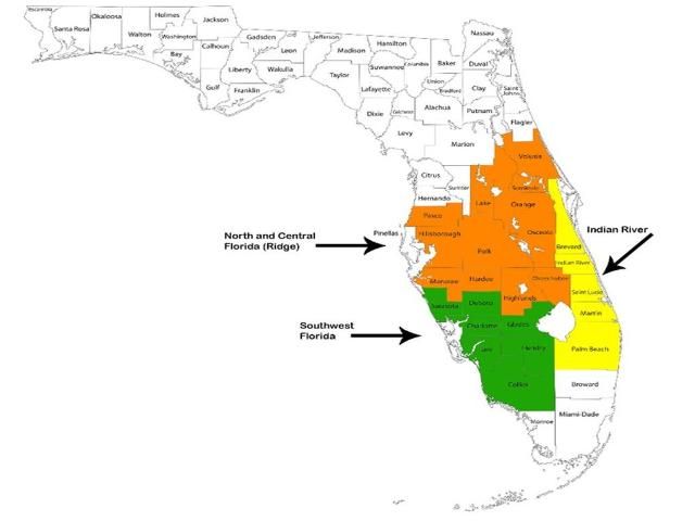 Figure 1. Three primary citrus-production regions in Florida (north and central Ridge, southwest, Indian River)