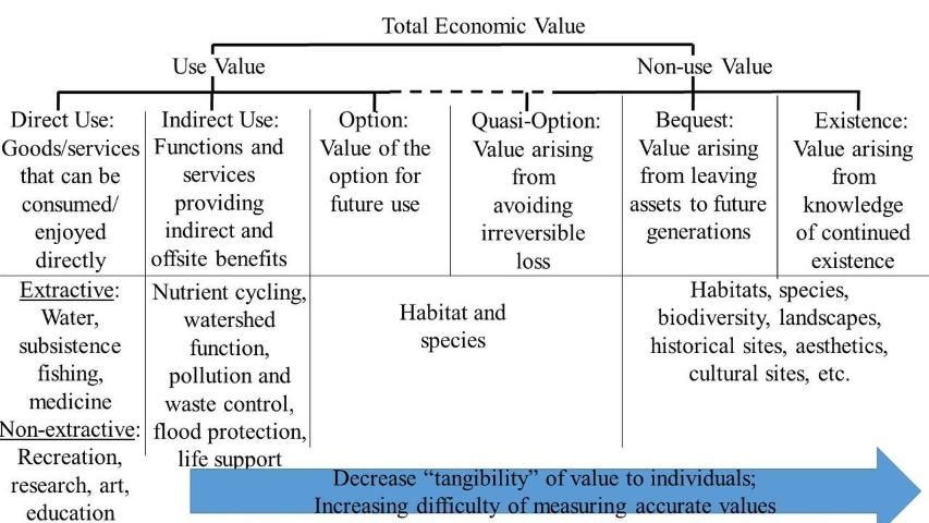 Figure 1. Examples of ecosystem services and their total economic value {Sources: Scottish Government (2004) and Boateng (2010)]