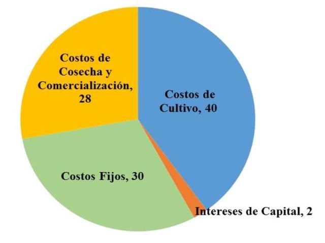 Figure 1. Porcentajes de costos