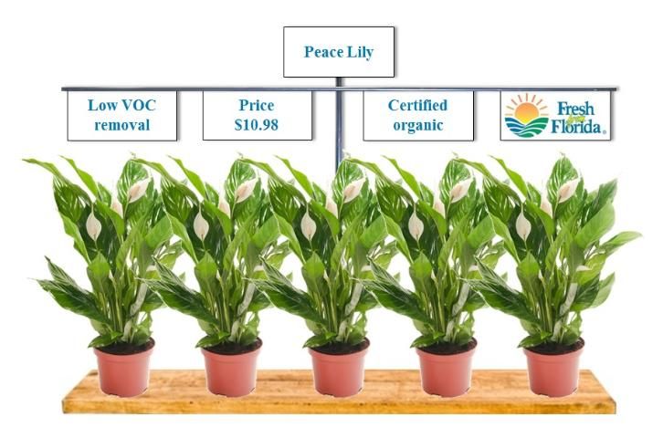 Figure 1. An example of a plant image used to evaluate consumer purchasing likelihood for indoor foliage plants (Note: Attribute sign order was randomized to reduce any order effect on eye movements.)