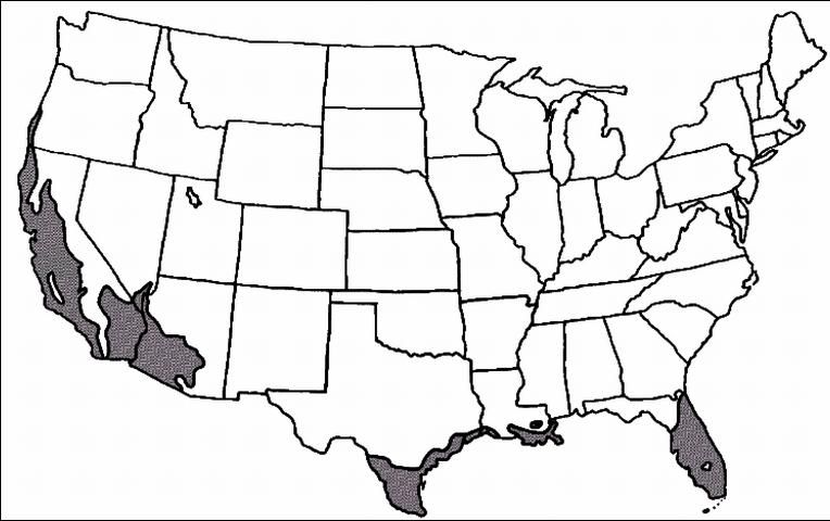 Figure 2. Shaded area represents potential planting range.