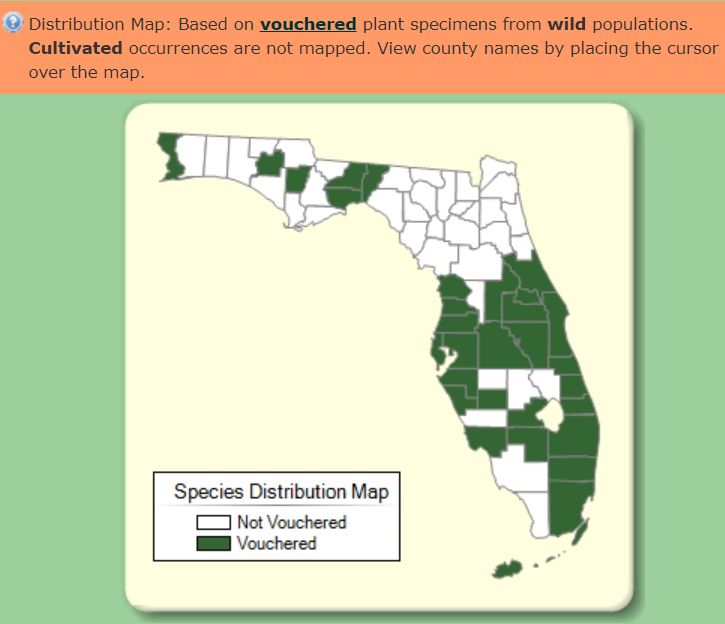 Vouchered plant specimen data of wild population of Asclepias curassavica in Florida from the University of South Florida Plant ATLAS. Cultivated occurrences are not mapped. This demonstrates, that if not managed properly, this plant can escape cultivation to natural lands.