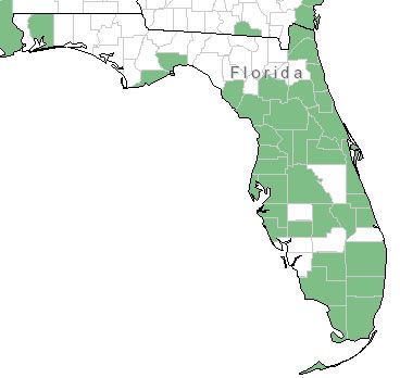 Figure 2. Distribution of golden canna in Florida.