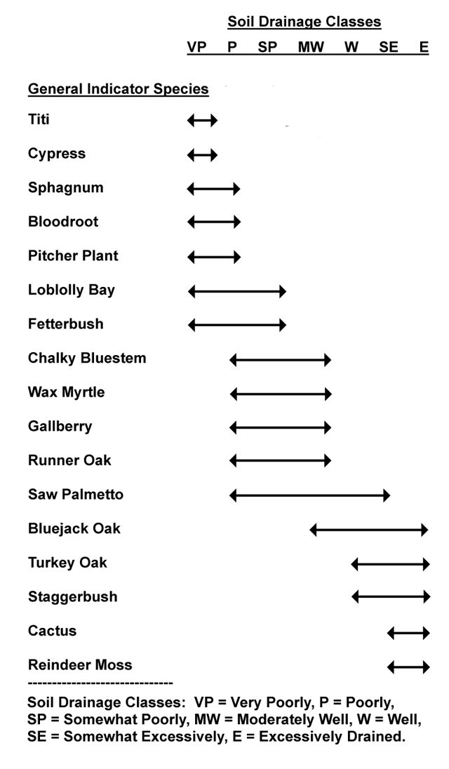 Figure 3. Distribution of plant indicator species useful for assessing soil drainage classes in Florida and the southeastern Coastal Plain.