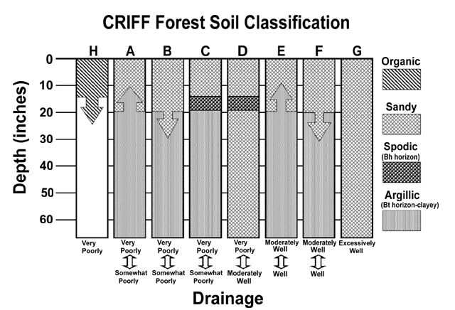 Figure 2. The CRIFF (Cooperative Research in Forest Fertilization) forest soil classification system used for determining fertilization requirements of southeastern Coastal Plain sites.