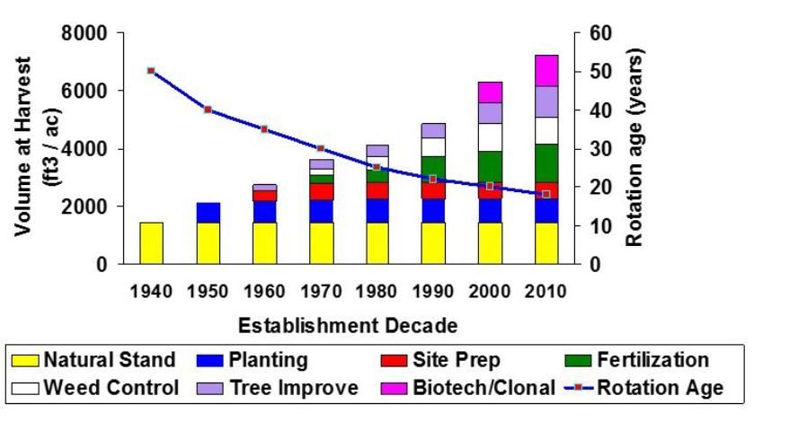 Figure 1. Contribution of silvicultural practices to productivity improvements and rotation lengths in managed southern pine stands.