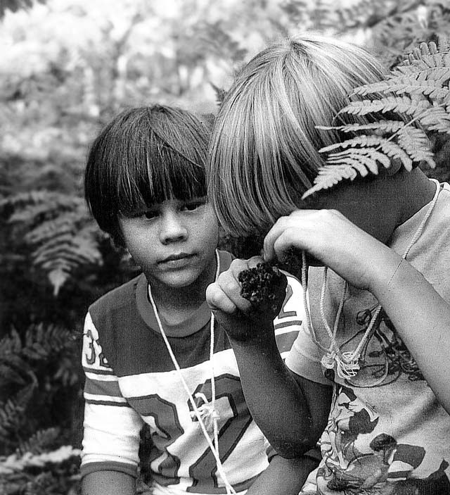 Figure 2. Hand lenses help youngsters investigate pinecones along their micro-nature trail.