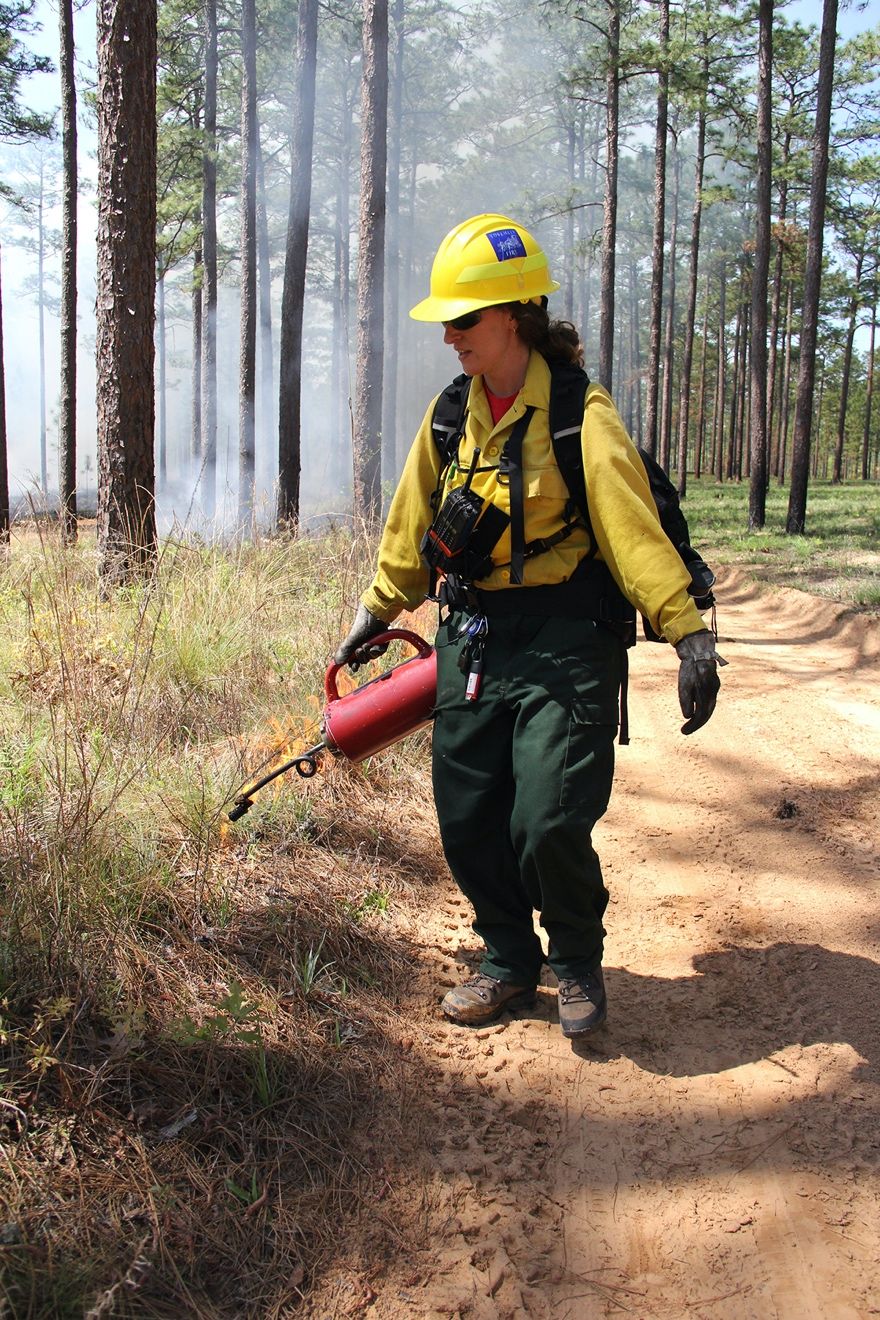Most prescribed burning in Florida is conducted by trained personnel who plan to minimize the impacts of smoke on populated areas. 