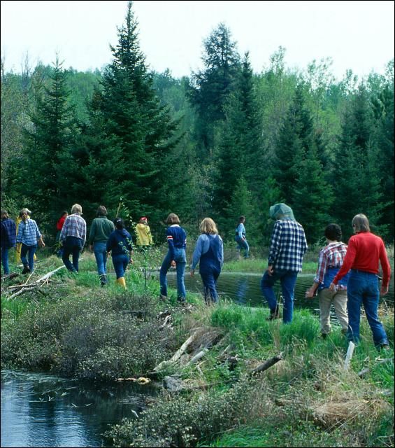 Figure 1. Field trips provide youth with new experiences, like walking across a beaver dam.