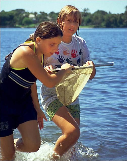 Figure 4. What better way to explore aquatic organisms than to wade in after them?