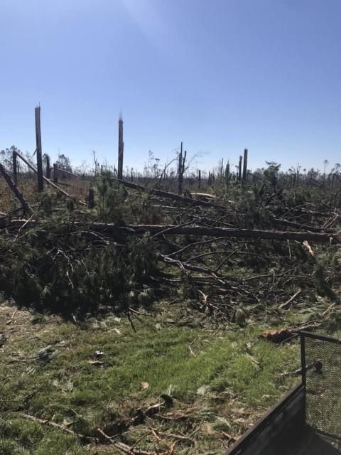 Figure 1. Catastrophic damage from category 4 hurricane winds in Bay County, Florida.