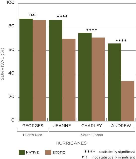 Figure 8. Native trees survived better than exotic trees in three south Florida hurricanes but not in Puerto Rico.