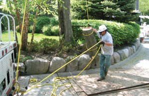 Figure 1. Si no hay espacio para cortar un árbol con seguridad, la situación requiere la ayuda de un profesional.