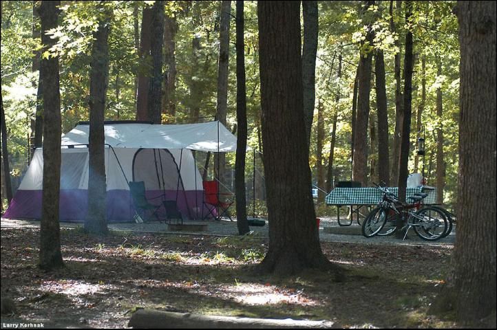 Figure 2. Camping activities can compact soil and damage healthy trees and vegetation.