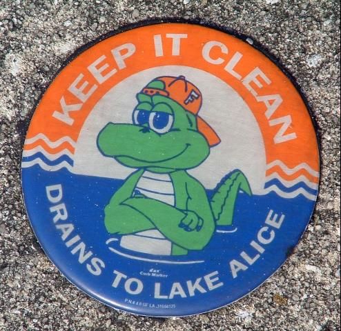 Figure 2. A storm drain sticker on the University of Florida campus reminds students, staff and faculty that this is a conduit to a nearby lake.