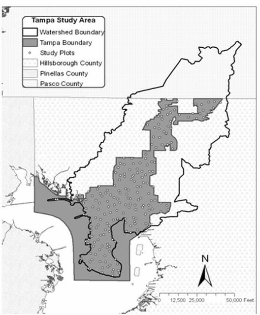 Distribution of study plots.