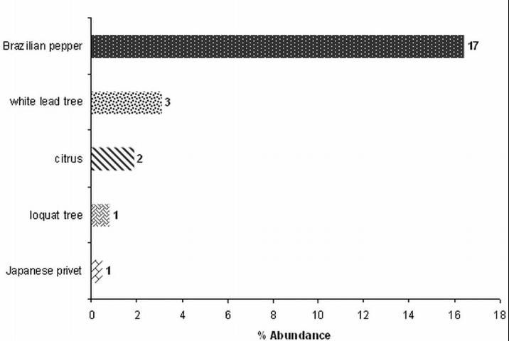 Relative abundance of top 5 non-native tree species found in Tampa.