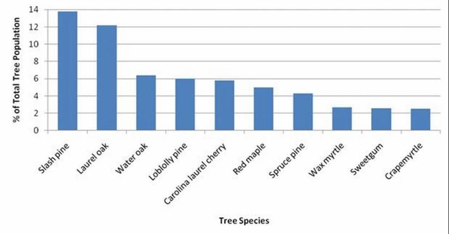 Figure 1. Top 10 most common trees in Gainesville, Florida's urban forest.