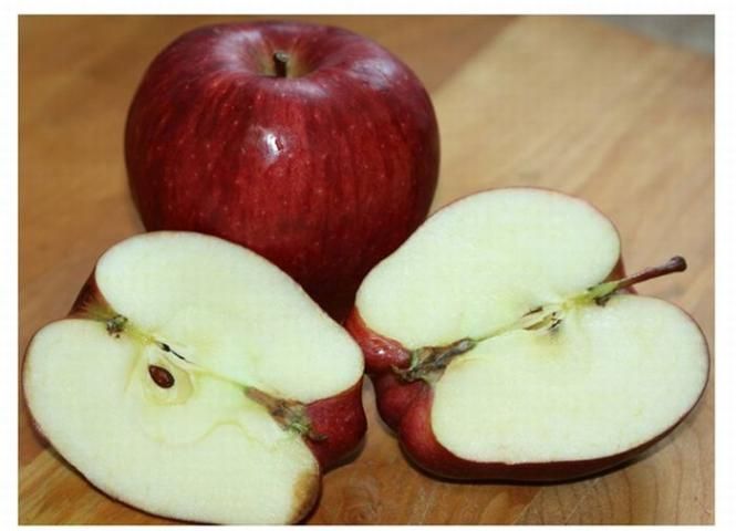 Figure 26. Apple pome or fruit.