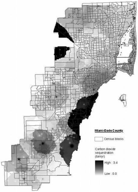 Figure 6. A map of carbon sequestration by urban trees in urban Miami-Dade County (Source: Escobedo et al. 2010a).