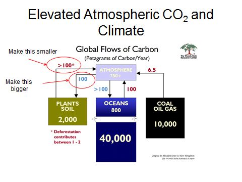 Figure 1. Carbon cycle.