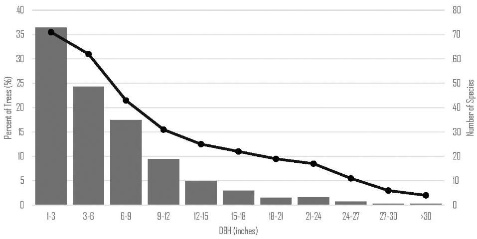 Figure 4. Diameter distribution of the trees in Gainesville (at 4.5 feet in height; DBH).