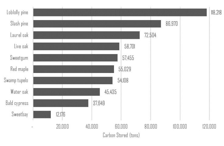 Figure 1. Carbon stored in Gainesville by species.
