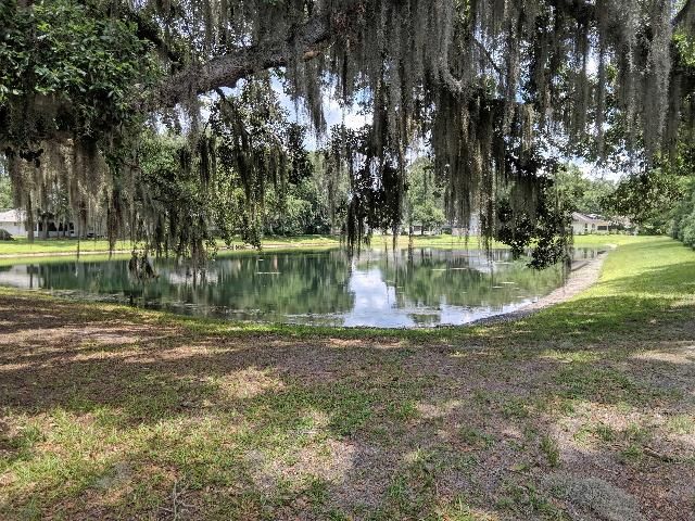 Figure 1. A typical stormwater pond in a Florida community. Note the bank erosion and lack of plantings along its perimeter.