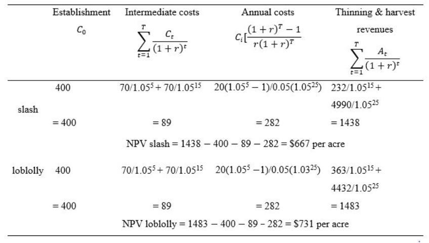 Figure 2. Determination of the Net Present Value (NPV) of Slash and Loblolly Pine Stands.