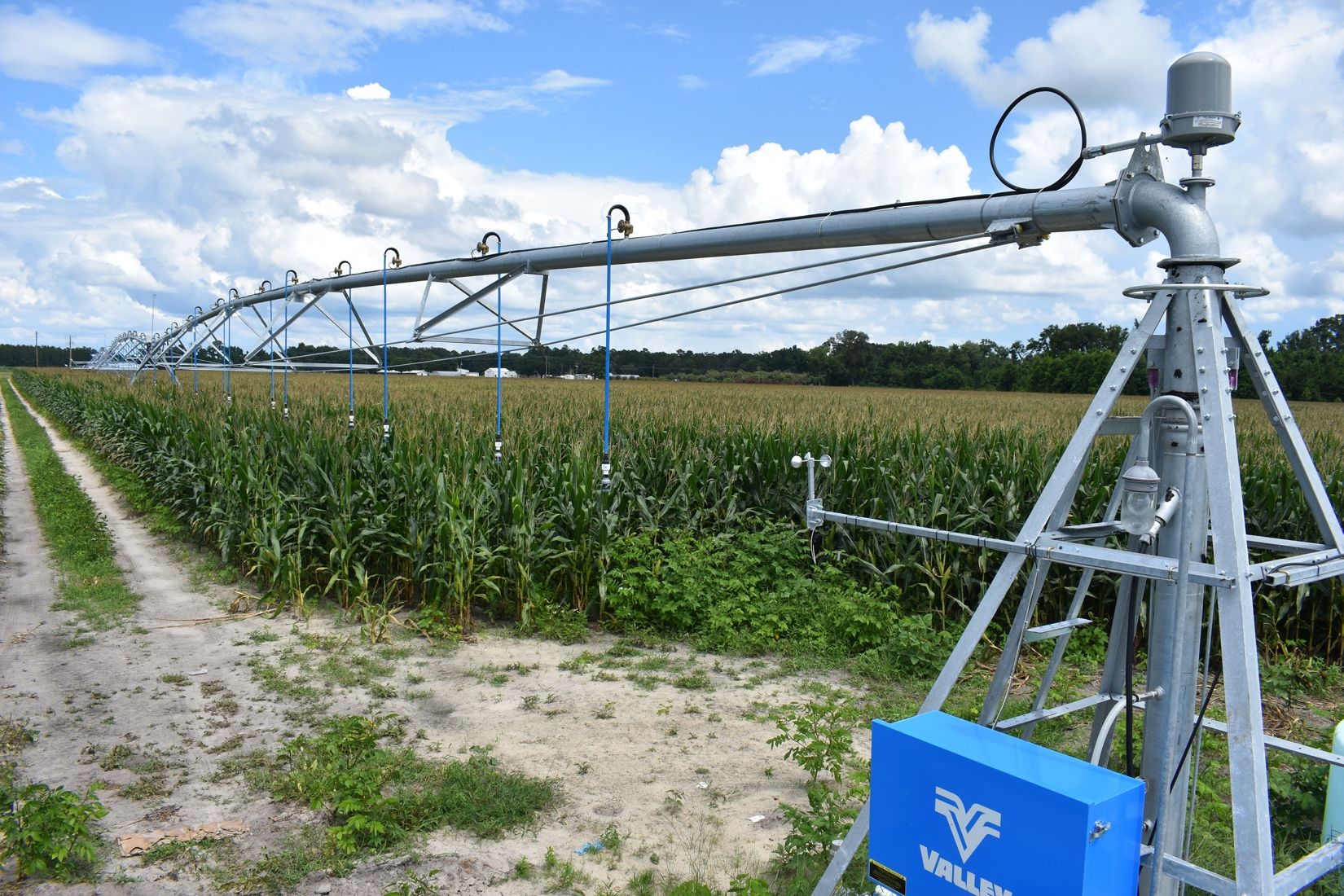 Center pivot irrigation system with low pressure drop nozzles increase crop water uptake efficiency. 