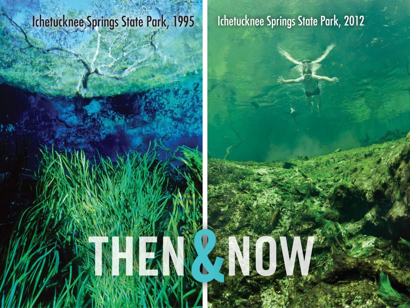 Then and Now. Algae takeover at Ichetucknee Springs State Park, FL, 1997 and 2012. Photos in identical locations. 