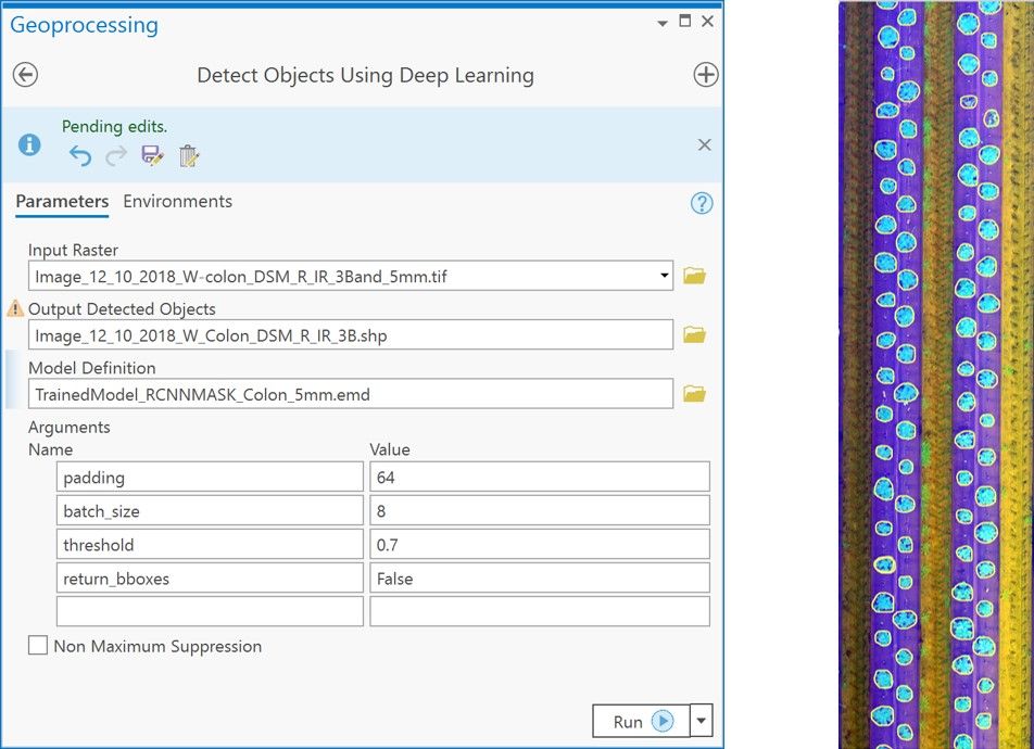 Input to the ArcGIS Pro Detect Objects Using Deep Learning tool. Left: screen snapshot showing input parameters; Right: output canopy boundaries produced by the model overlaid on input image.