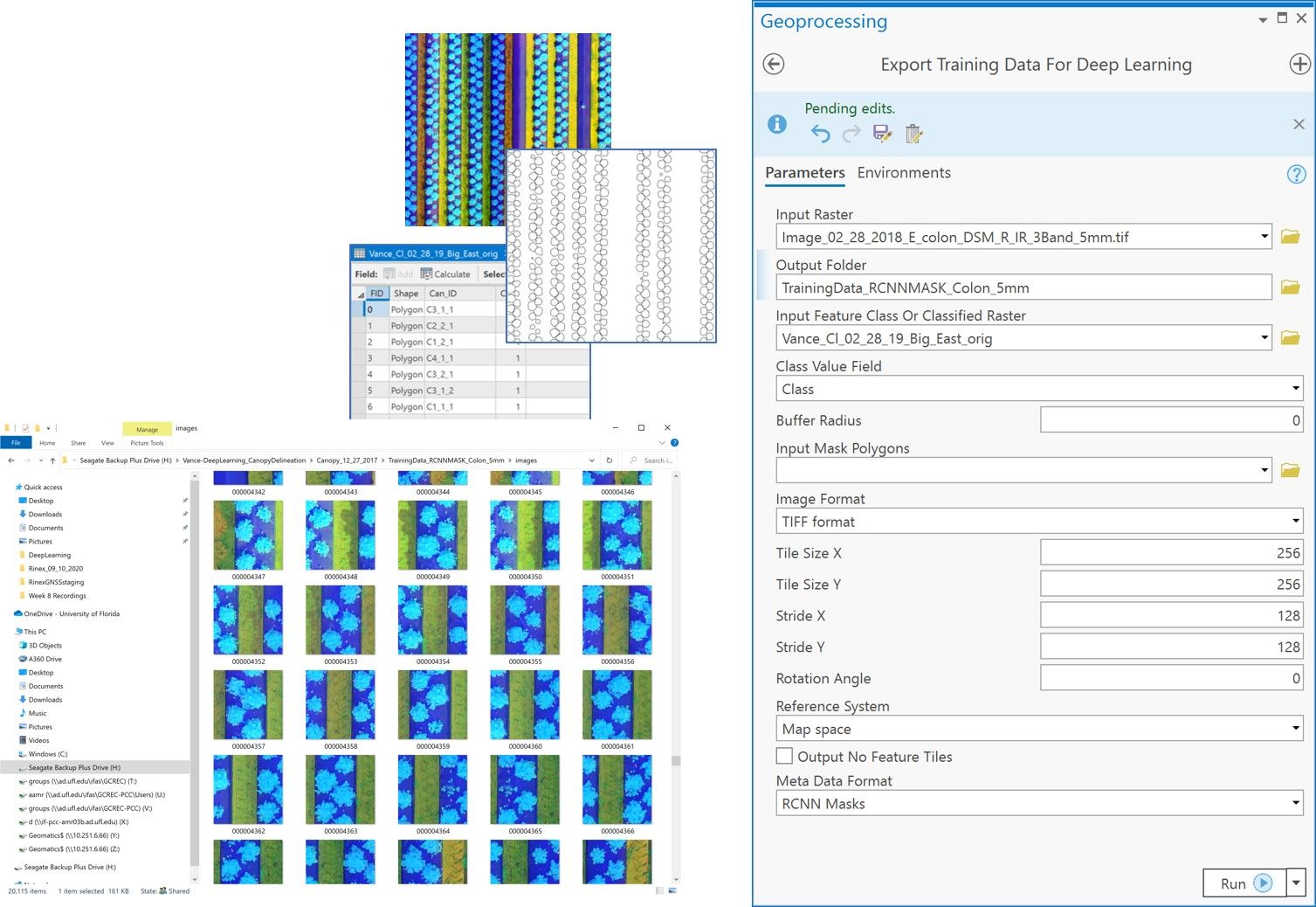 Input to the ArcGIS Pro Export Training Data for Deep Learning Tool. Right: tool interface with input parameters; Left: snapshot of the folder containing image training data chips output from the tool.