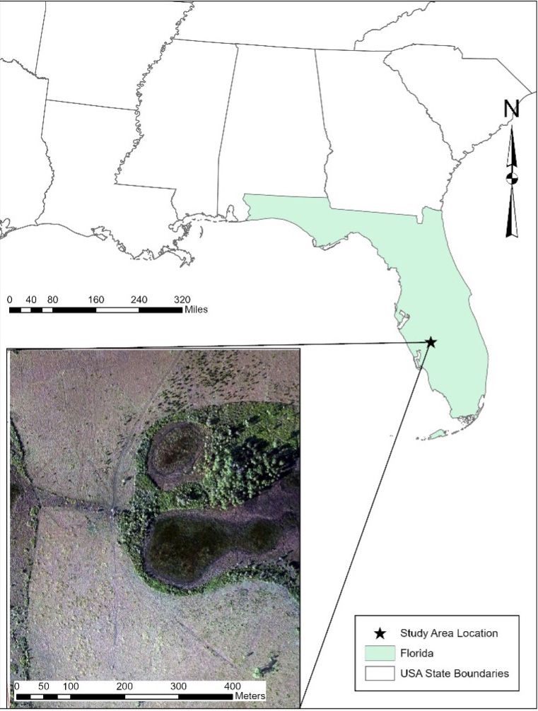 Study area in southern Florida.