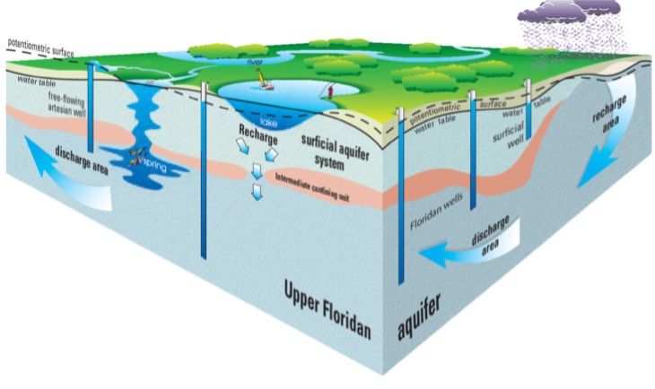 Conceptual drawing by St. Johns Water Management District, as featured in: Lee, T.M., & Fouad, G.G. (2014). Creating a monthly time series of the potentiometric surface in the Upper Floridan aquifer, Northern Tampa Bay area, Florida, January 2000-December 2009. Scientific Investigations Report. 