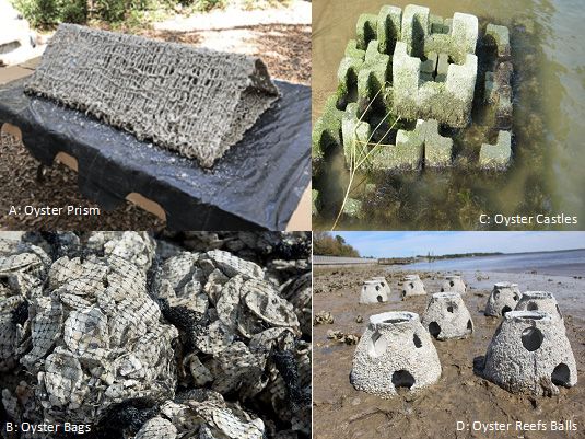 Examples of different structures placed along shorelines to serve as hard substrate to recruit oysters for shoreline protection. 