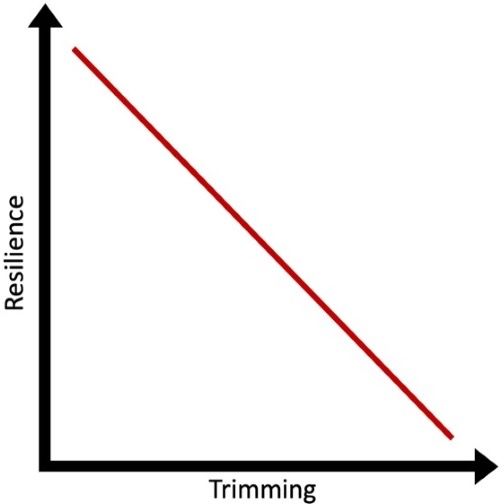 This conceptual graph depicts the relationship between resilience and trimming. As trimming increases, resilience decreases.