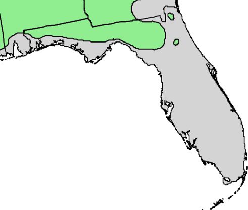 Spruce pine natural range in Florida. Data source: USGS