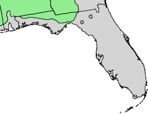 Shortleaf natural range in Florida. Data source: USGS