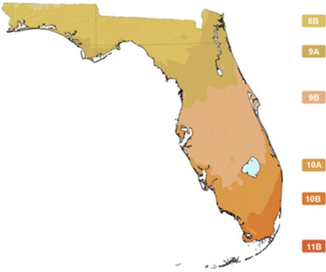 USDA Hardiness Zones of Florida. USDA zones are based on minimum winter temperatures.