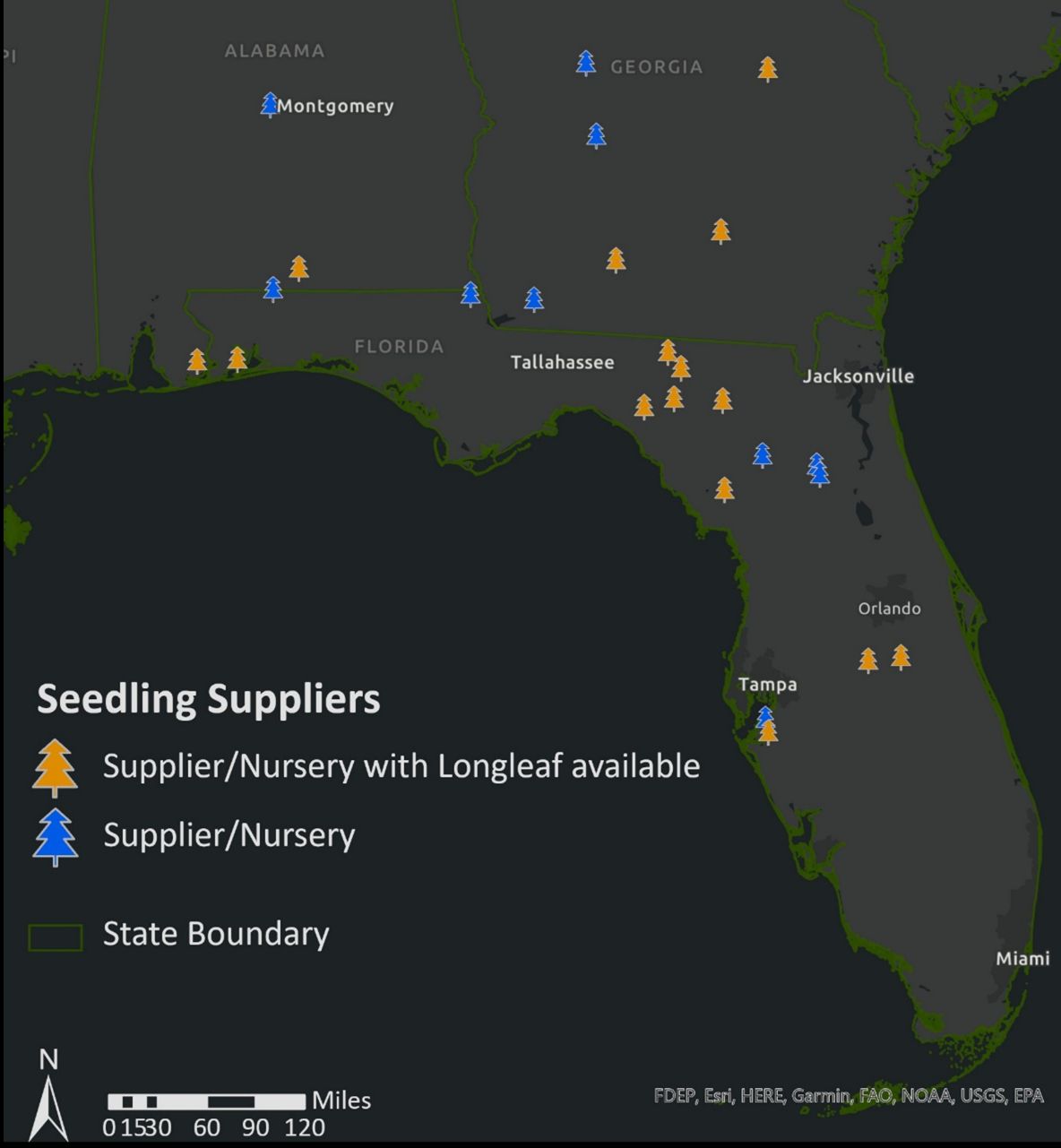 Map of seedling suppliers in Florida and within 100 miles of the state border. Orange points represent nurseries known to supply longleaf pine seedlings.